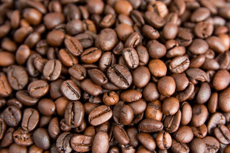 Java Jember Coffee Beans The Cheeseboard
